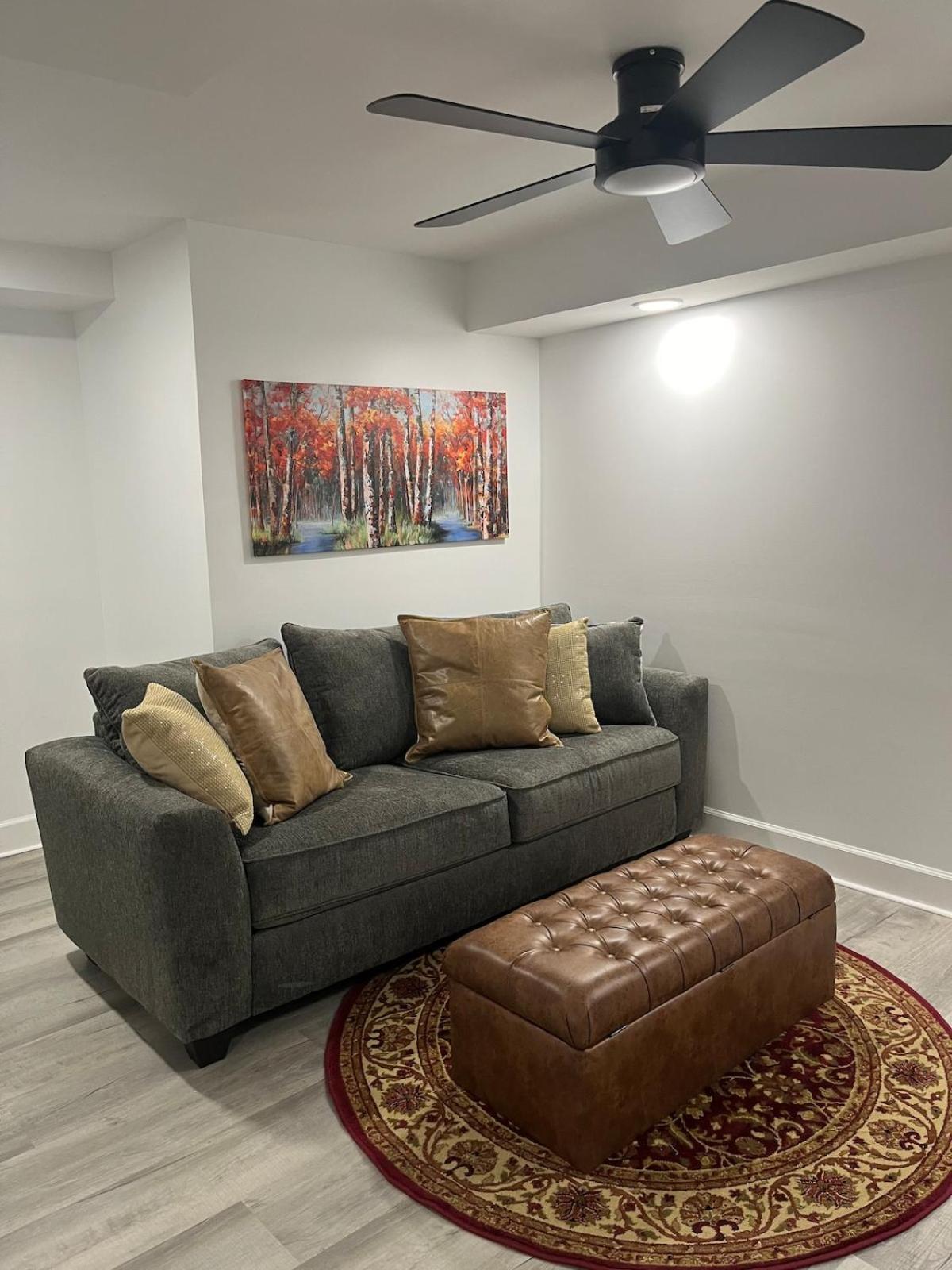 New Quiet Intwn With Private Entry, Bath & Patio Apartment *